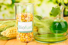 Maesmynis biofuel availability