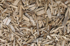 biomass boilers Maesmynis