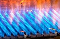 Maesmynis gas fired boilers